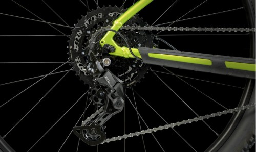11118_16655