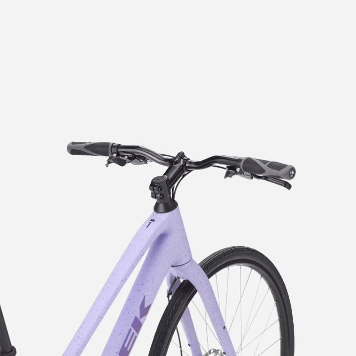 TREK FX 1 Gen 4 2026 M Lawendowy-3.png